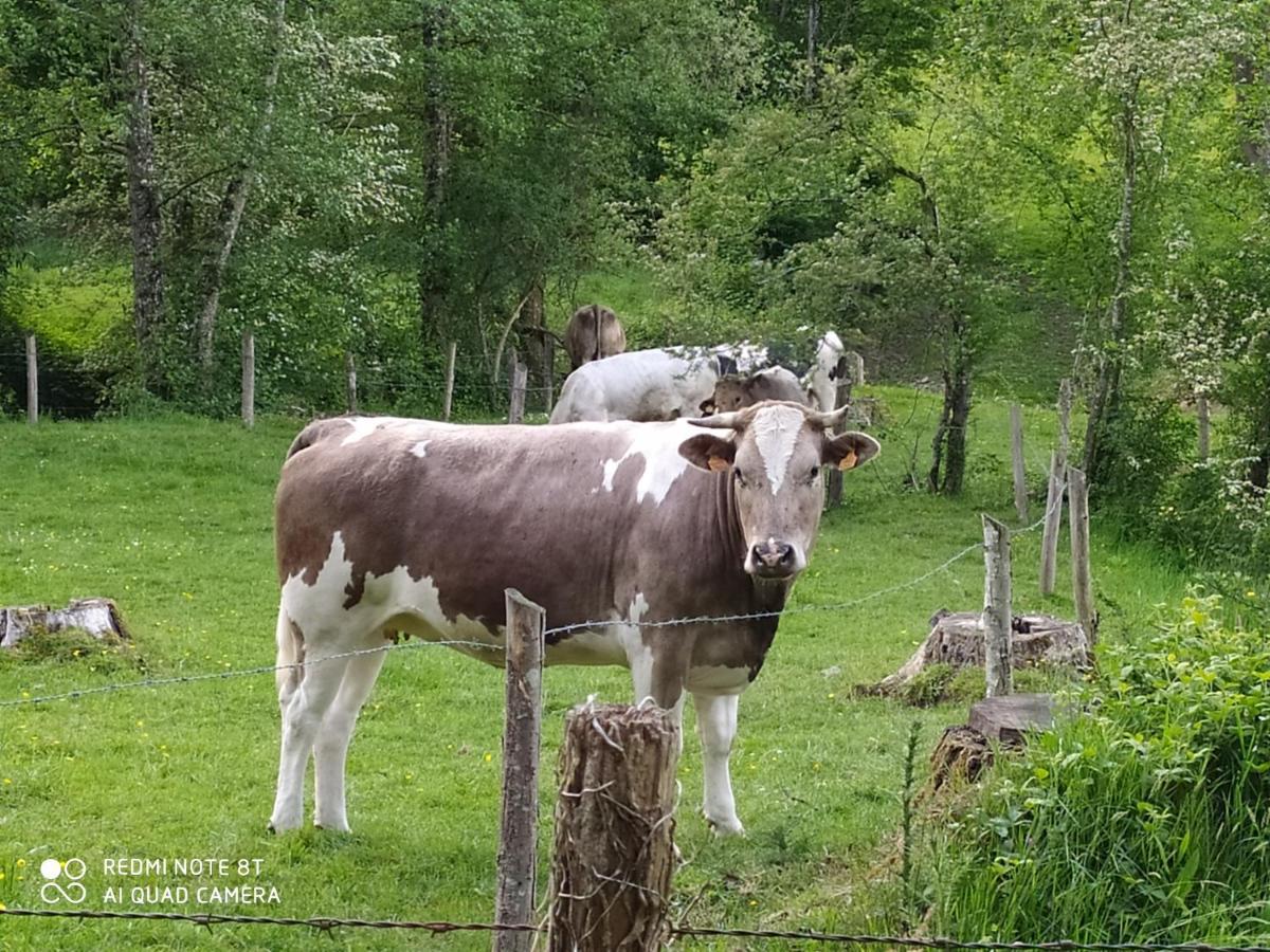 La Chaussee D'Olivet En Mayenne Acomodação com café da manhã Exterior foto